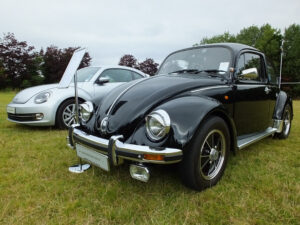 mybeetle17aug2014 (3)