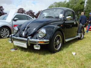 mybeetle17aug2014 (30)