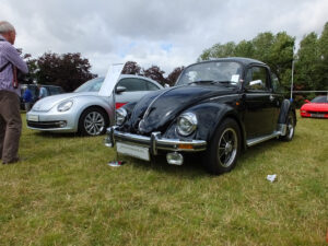 mybeetle17aug2014 (31)