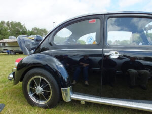 mybeetle17aug2014 (32)