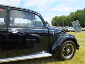 mybeetle17aug2014 (33)