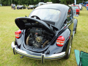 mybeetle17aug2014 (6)