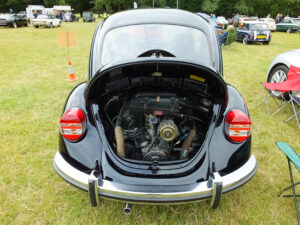 mybeetle17aug2014 (8)