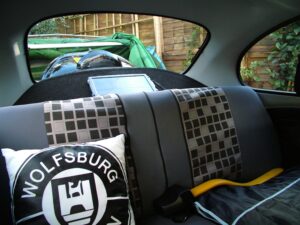 mybeetle19jan2014 (15)