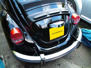 mybeetle19jan2014 (22)