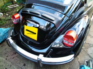 mybeetle19jan2014 (23)