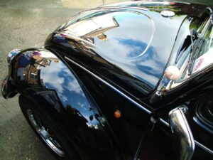 mybeetle19jan2014 (30)