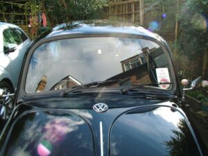 mybeetle19jan2014 (31)