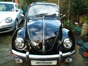 mybeetle19jan2014 (33)
