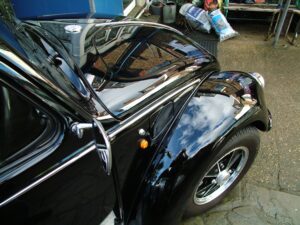 mybeetle19jan2014 (38)