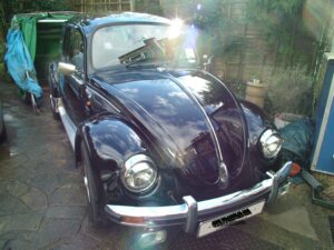mybeetle19jan2014 (39)