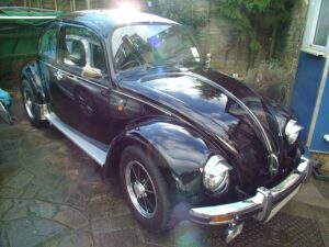 mybeetle19jan2014 (40)