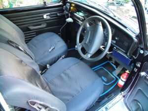 mybeetle19jan2014 (9)
