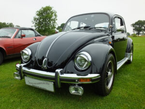 mybeetle20july2014 (1)