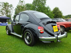 mybeetle20july2014 (10)