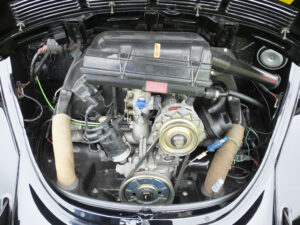 mybeetle20july2014 (12)