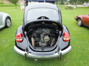 mybeetle20july2014 (13)
