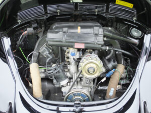 mybeetle20july2014 (14)