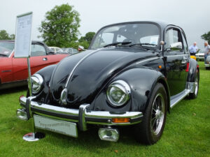 mybeetle20july2014 (15)