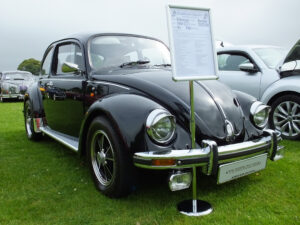 mybeetle20july2014 (16)