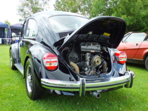 mybeetle20july2014 (17)
