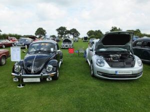 mybeetle20july2014 (18)