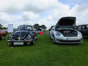 mybeetle20july2014 (19)