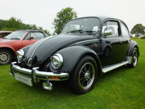 mybeetle20july2014 (2)