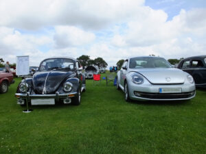 mybeetle20july2014 (20)