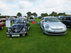 mybeetle20july2014 (21)