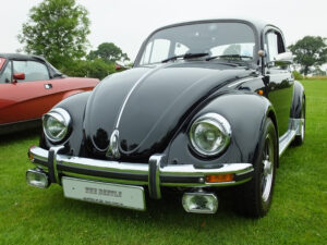 mybeetle20july2014 (3)