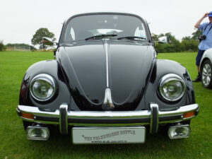 mybeetle20july2014 (4)