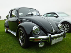 mybeetle20july2014 (5)
