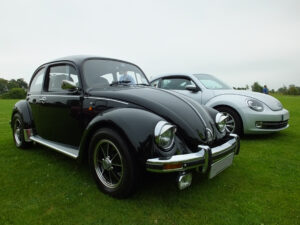 mybeetle20july2014 (6)