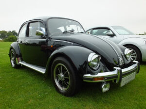 mybeetle20july2014 (7)