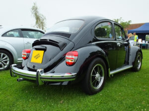 mybeetle20july2014 (8)