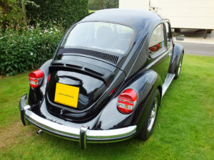 mybeetle20sept2014 (1)