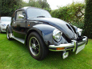 mybeetle20sept2014 (17)