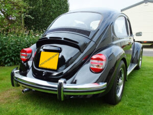 mybeetle20sept2014 (2)