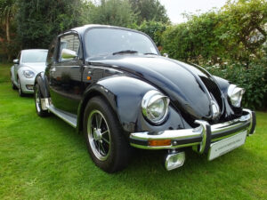 mybeetle20sept2014 (22)