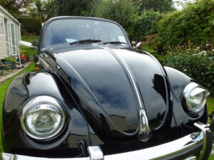 mybeetle20sept2014 (24)