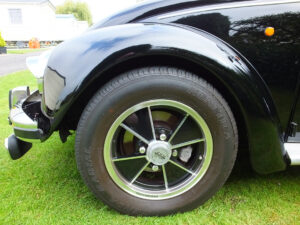 mybeetle20sept2014 (31)