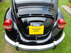 mybeetle20sept2014 (46)