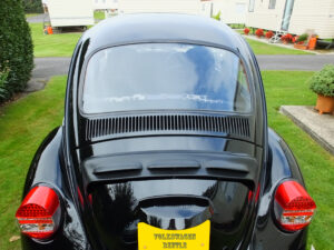 mybeetle20sept2014 (47)