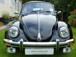 mybeetle20sept2014 (48)