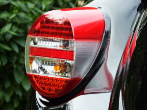 mybeetle20sept2014 (5)