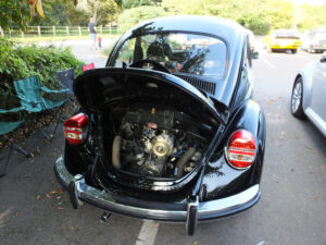 mybeetle21sept2014 (1)