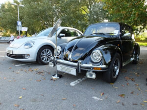 mybeetle21sept2014 (10)