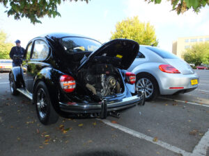 mybeetle21sept2014 (15)