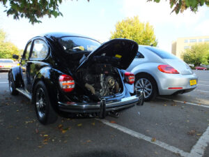 mybeetle21sept2014 (16)